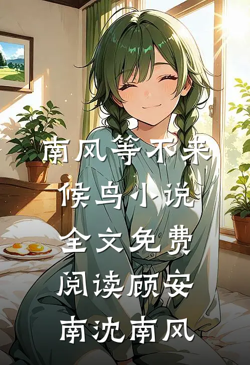 南风等不来候鸟小说全文免费阅读顾安南沈南风