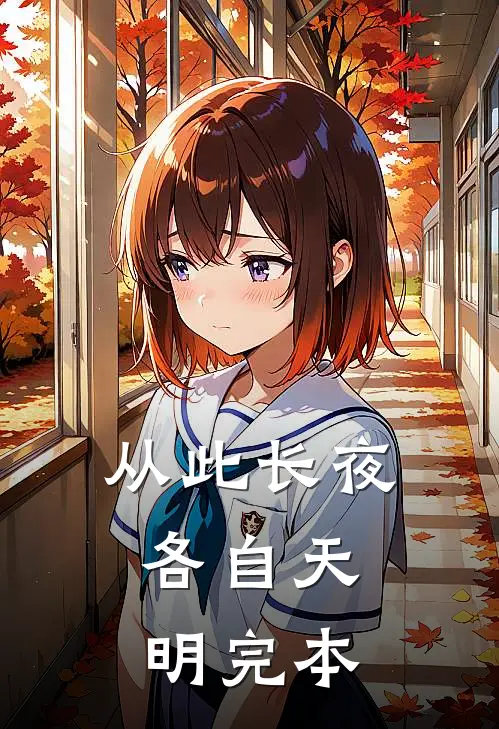 从此长夜，各自天明完本