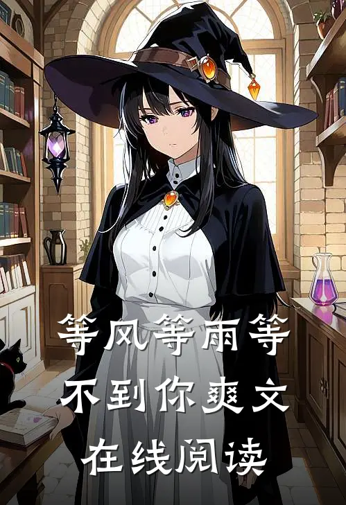 等风等雨等不到你爽文在线阅读