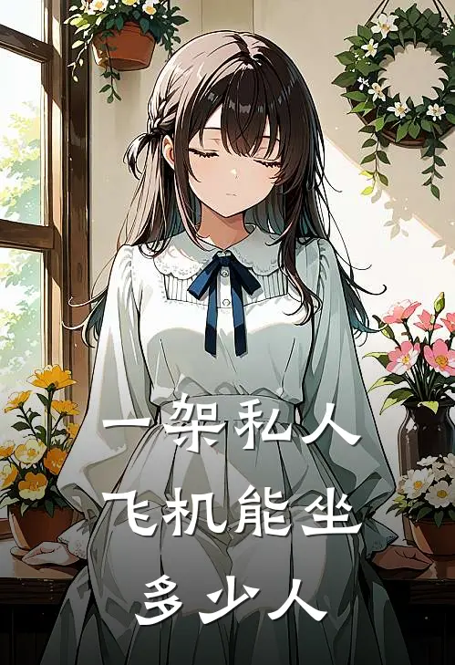 一架私人飞机能坐多少人