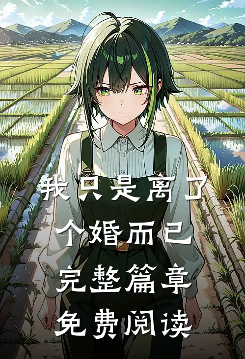 我只是离了个婚而已完整篇章免费阅读