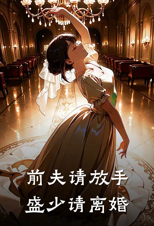 前夫请放手盛少请离婚