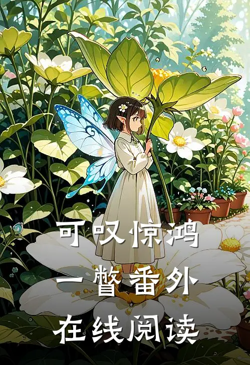 可叹惊鸿一瞥番外在线阅读