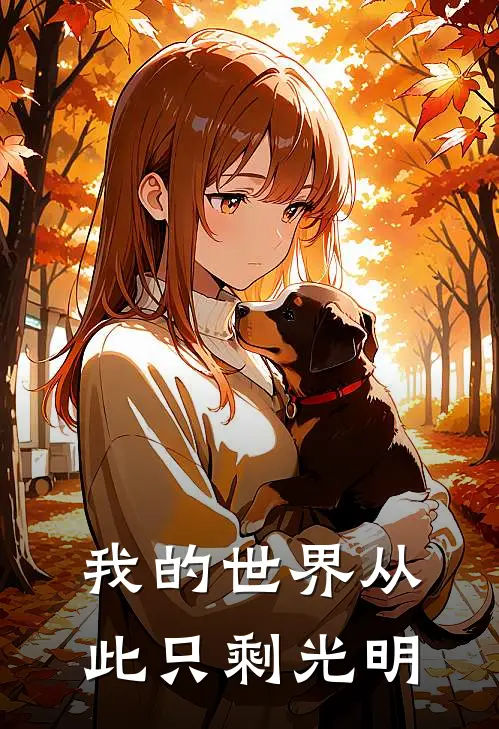 我的世界从此只剩光明
