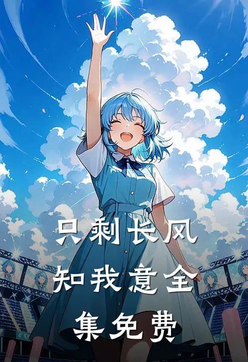 只剩长风知我意全集免费