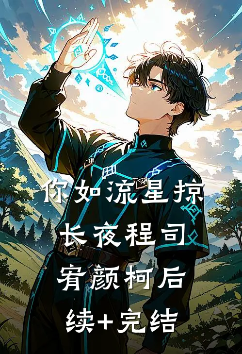 你如流星掠长夜程司宥颜柯后续+完结