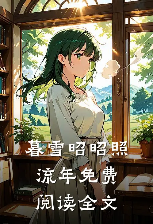 暮雪昭昭照流年免费阅读全文