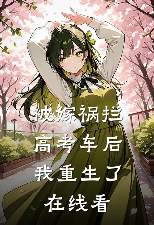 被嫁祸拦高考车后，我重生了在线看