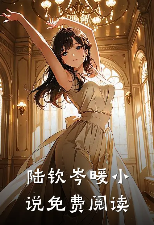 陆钦岑暖小说免费阅读