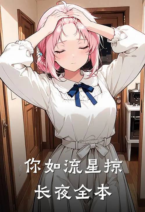 你如流星掠长夜全本