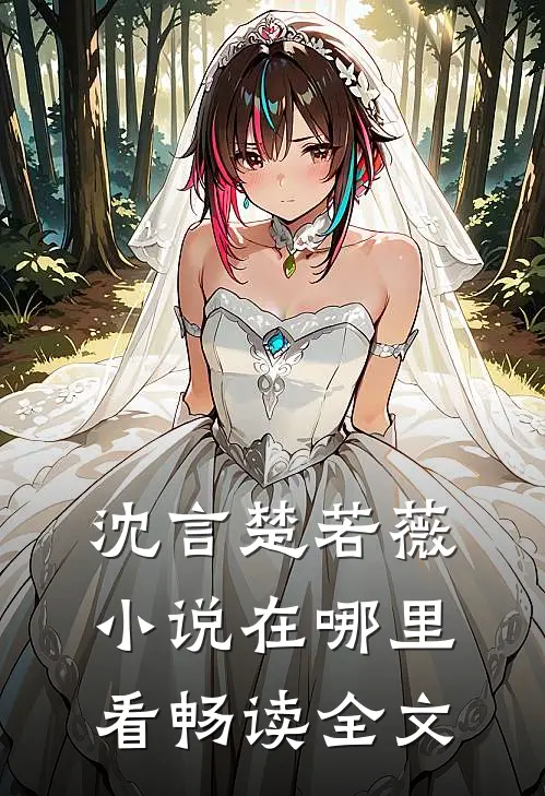 沈言楚若薇小说在哪里看畅读全文