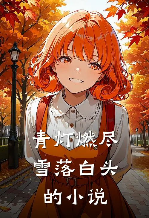 青灯燃尽，雪落白头的小说