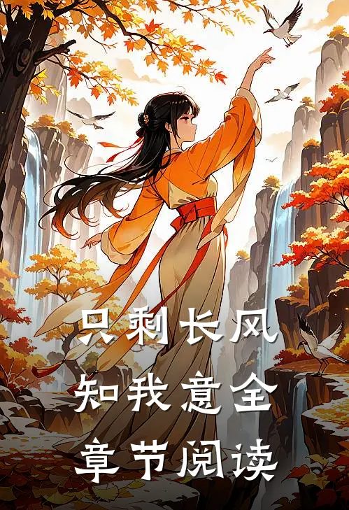 只剩长风知我意全章节阅读