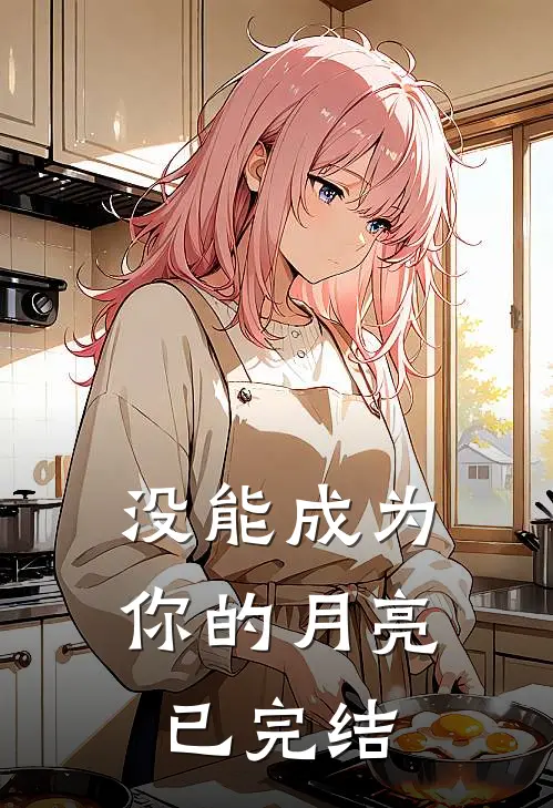没能成为你的月亮已完结