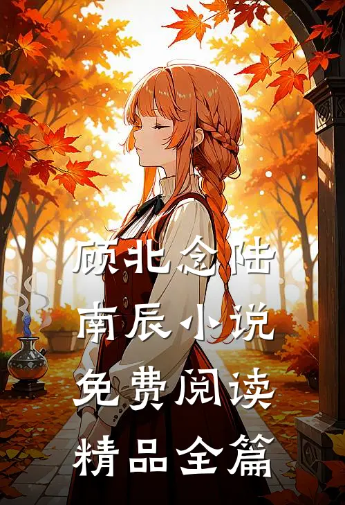 顾北念陆南辰小说免费阅读精品全篇
