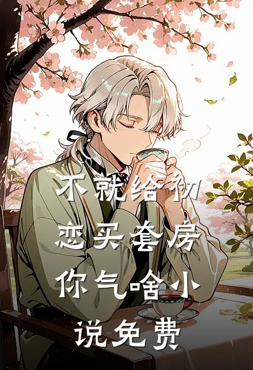 不就给初恋买套房，你气啥小说免费