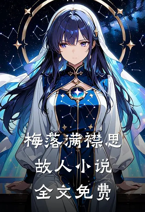 梅落满襟思故人小说全文免费