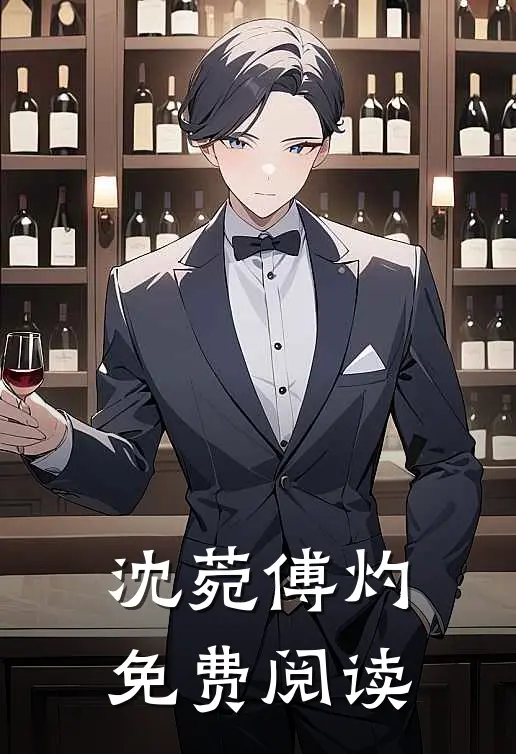 沈菀傅灼免费阅读