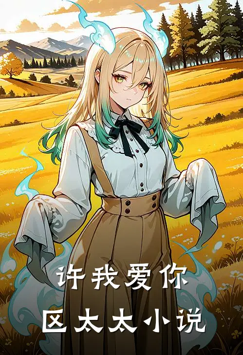 许我爱你，区太太小说