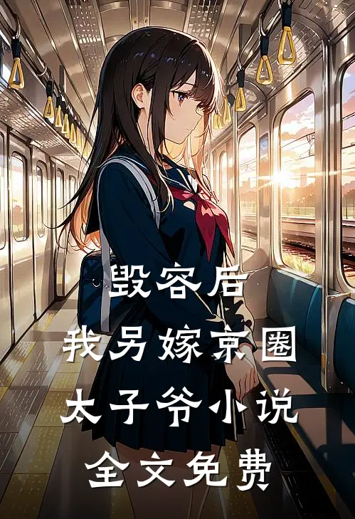 毁容后，我另嫁京圈太子爷小说全文免费