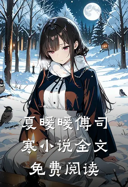 夏暖暖傅司寒小说全文免费阅读
