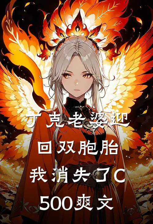 丁克老婆迎回双胞胎，我消失了C500爽文