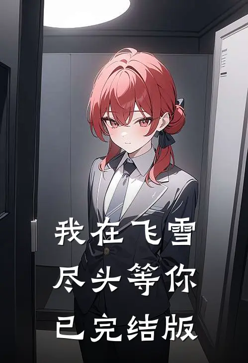 我在飞雪尽头等你已完结版