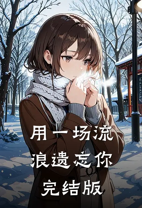 用一场流浪遗忘你完结版