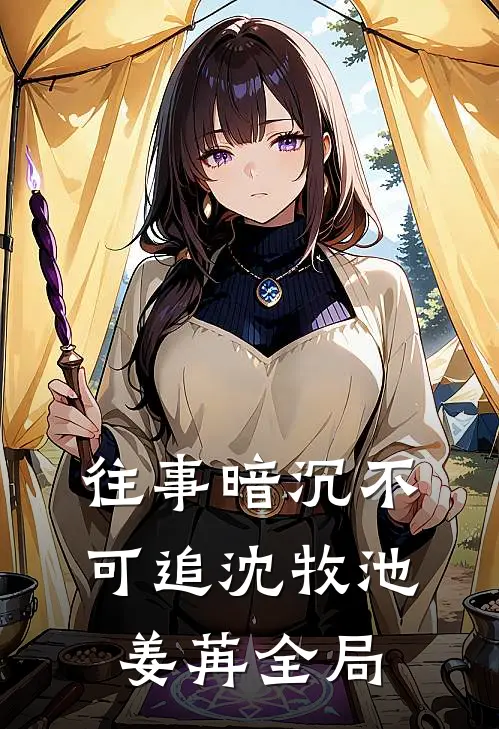 往事暗沉不可追沈牧池姜苒全局