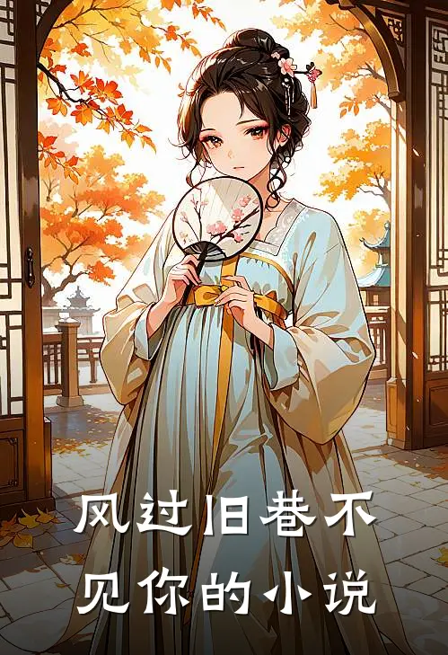 风过旧巷不见你的小说