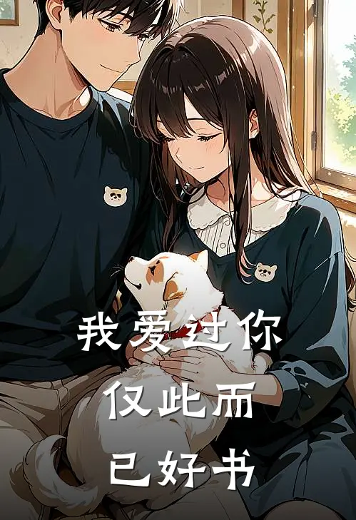 我爱过你，仅此而已好书