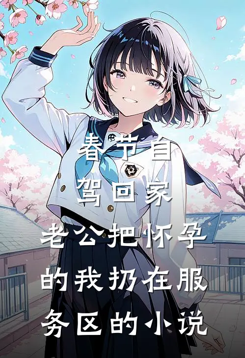 春节自驾回家，老公把怀孕的我扔在服务区的小说