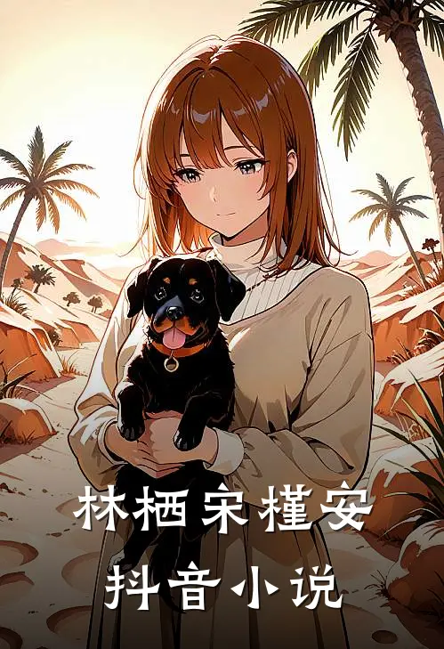 林栖宋槿安抖音小说